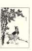 photo30_small.jpg