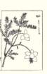 photo31_small.jpg