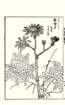 photo39_small.jpg
