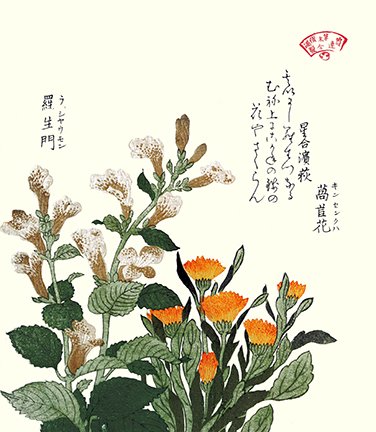 photo13.jpg