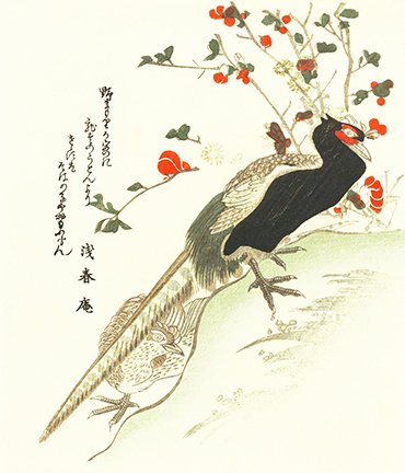 photo3.jpg