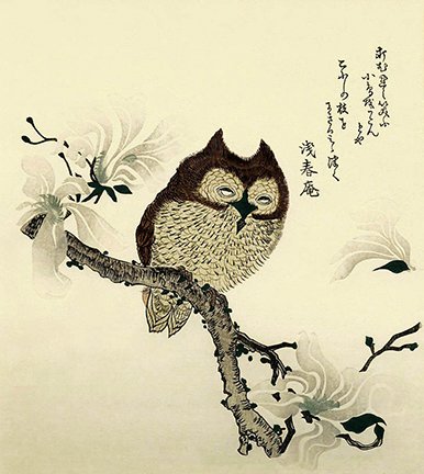 photo6.jpg