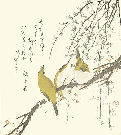 photo7.jpg