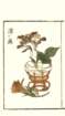 photo10_small.jpg