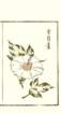 photo11_small.jpg