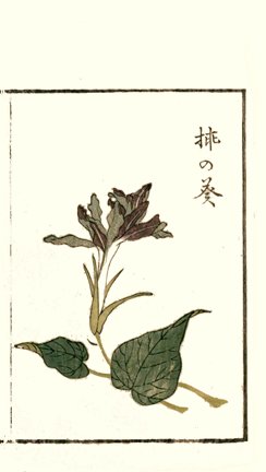 photo13.jpg