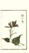 photo13_small.jpg