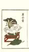 photo16_small.jpg