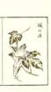 photo17_small.jpg