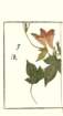 photo18_small.jpg
