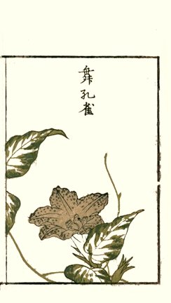 photo19.jpg