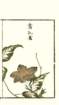 photo19_small.jpg