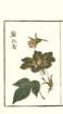 photo20_small.jpg