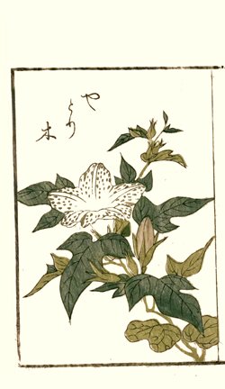 photo22.jpg