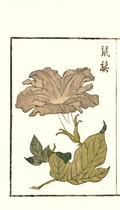 photo25.jpg