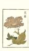 photo25_small.jpg