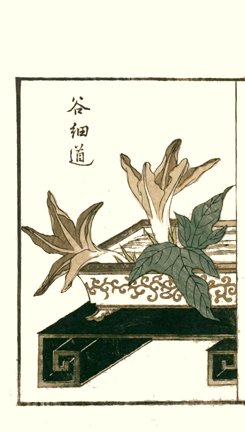 photo27.jpg