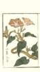 photo29_small.jpg