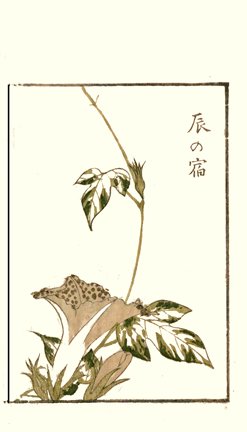 photo30.jpg