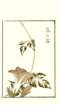 photo30_small.jpg