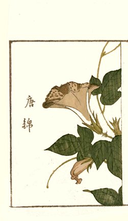 photo31.jpg