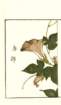 photo31_small.jpg