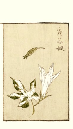 photo32.jpg