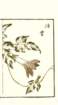 photo34_small.jpg