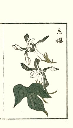 photo36.jpg