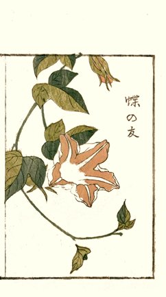 photo38.jpg