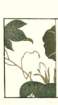 photo41_small.jpg