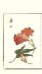 photo6_small.jpg