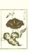 photo7_small.jpg