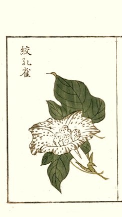 photo8.jpg