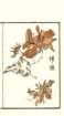 photo9_small.jpg