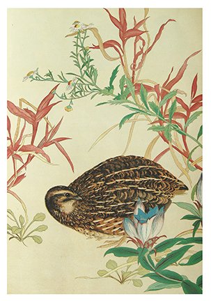 photo12.jpg