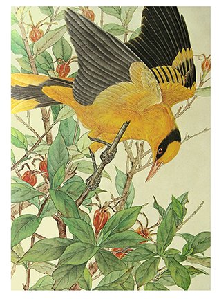 photo31.jpg