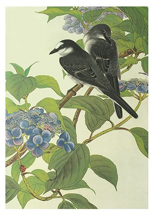 photo43.jpg