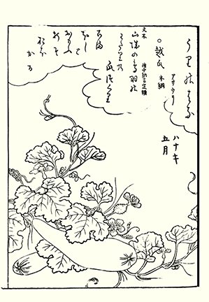 photo66.jpg