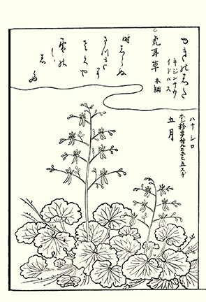 photo85.jpg