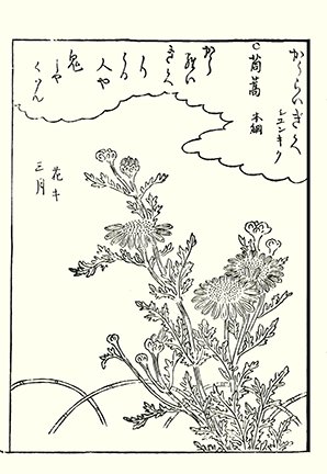 photo9.jpg