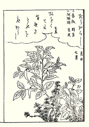 photo98.jpg