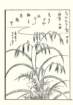 photo10_small.jpg