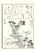photo14_small.jpg