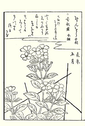 photo18.jpg