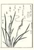 photo7_small.jpg