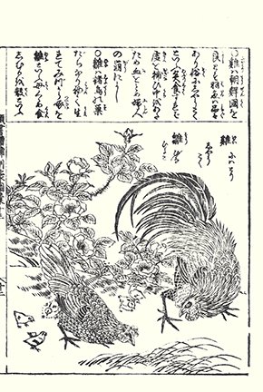 photo19.jpg