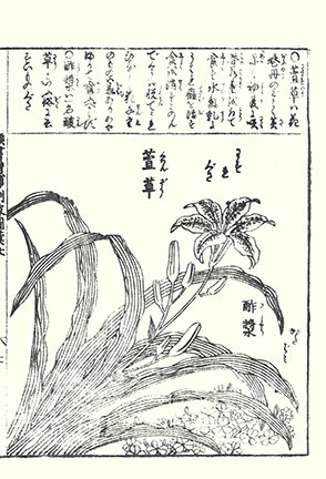 photo43.jpg