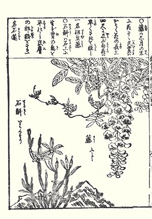 photo51.jpg