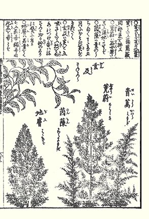 photo67.jpg
